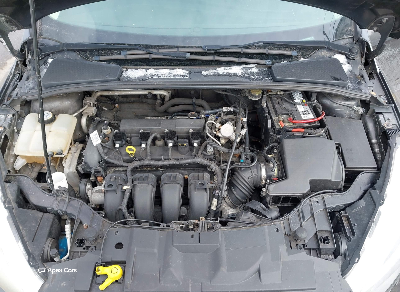 Ford Focus 2016