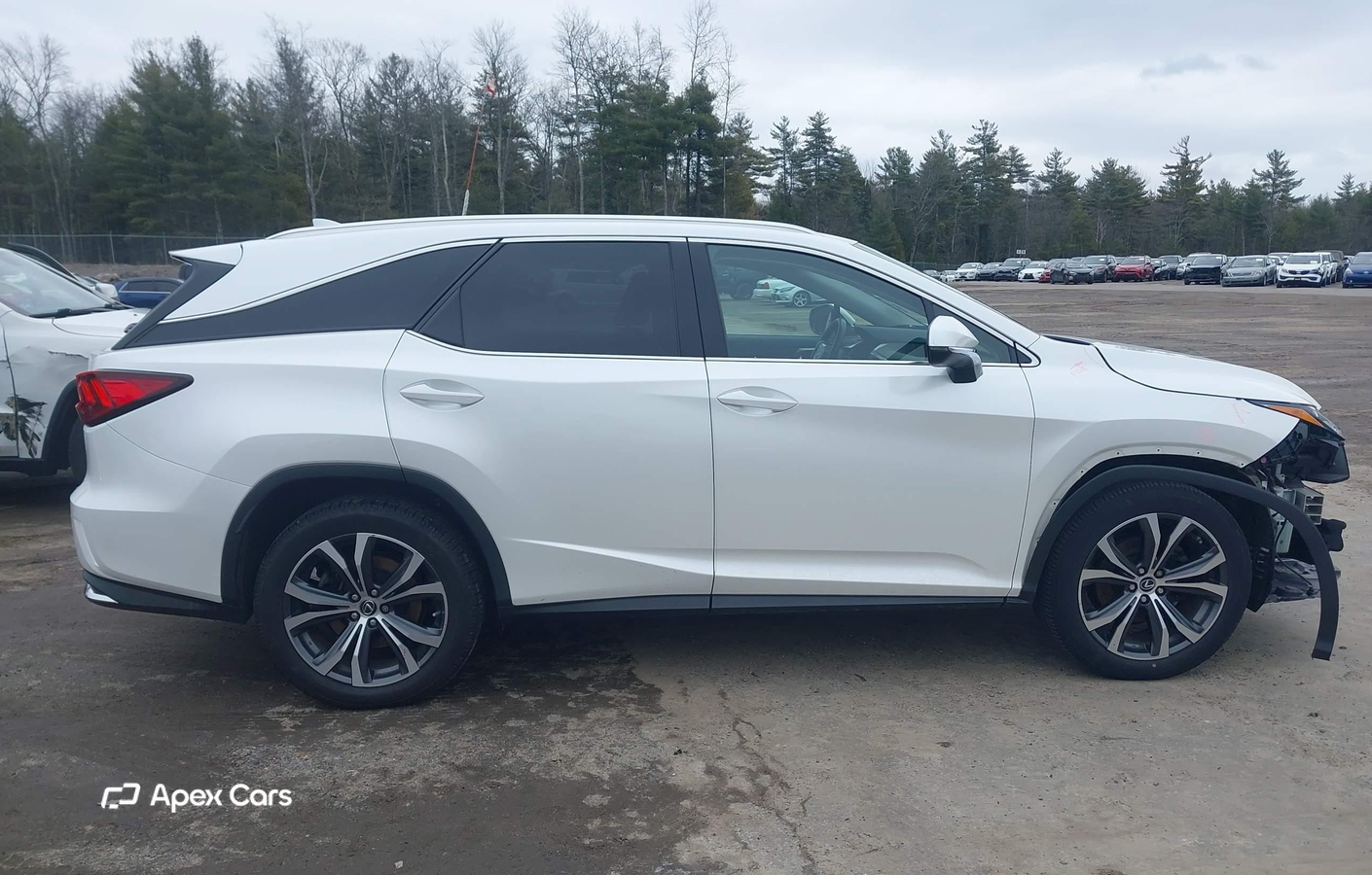 Lexus RX 2019