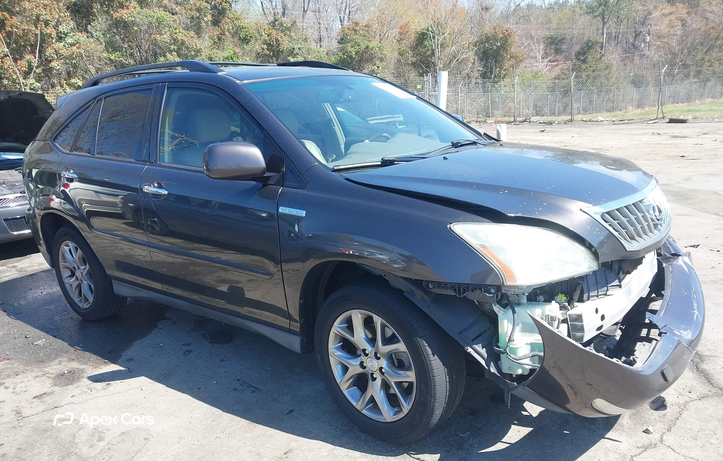 Lexus RX 2009