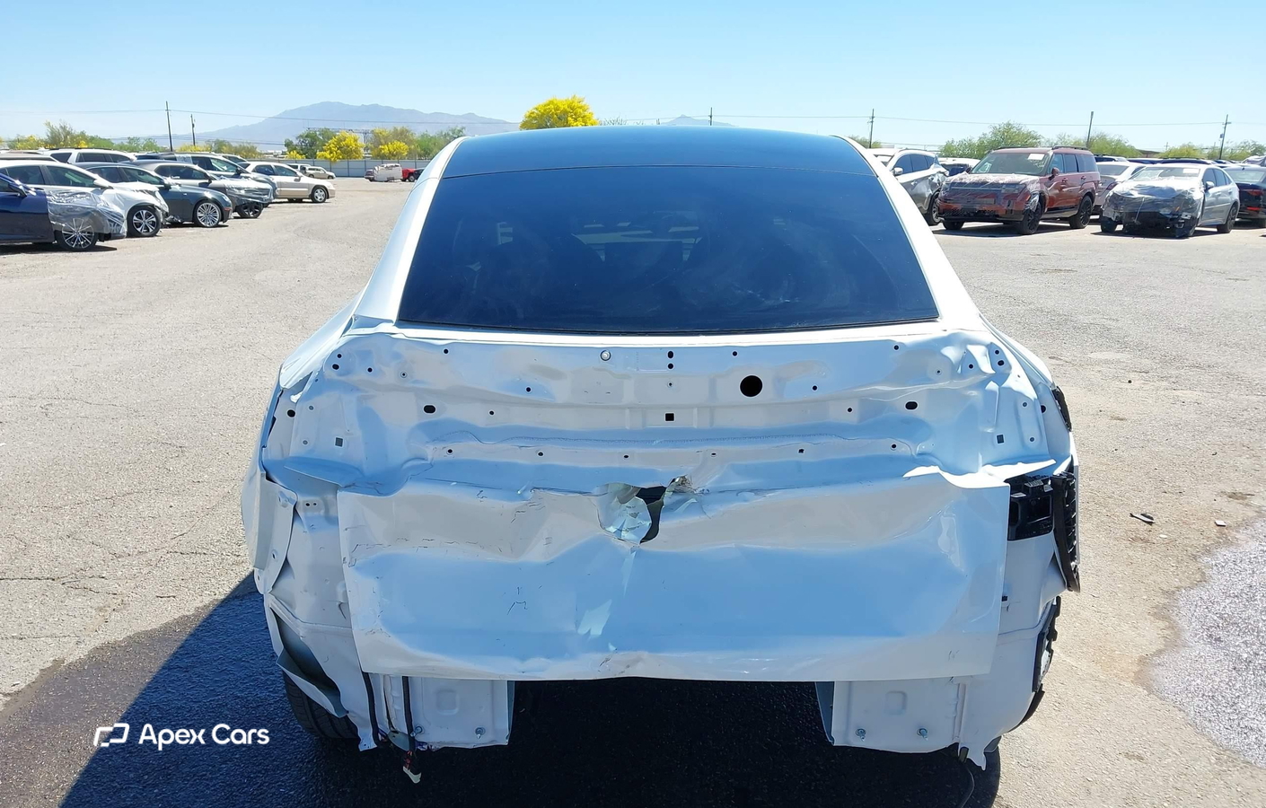 Tesla Model Y 2026