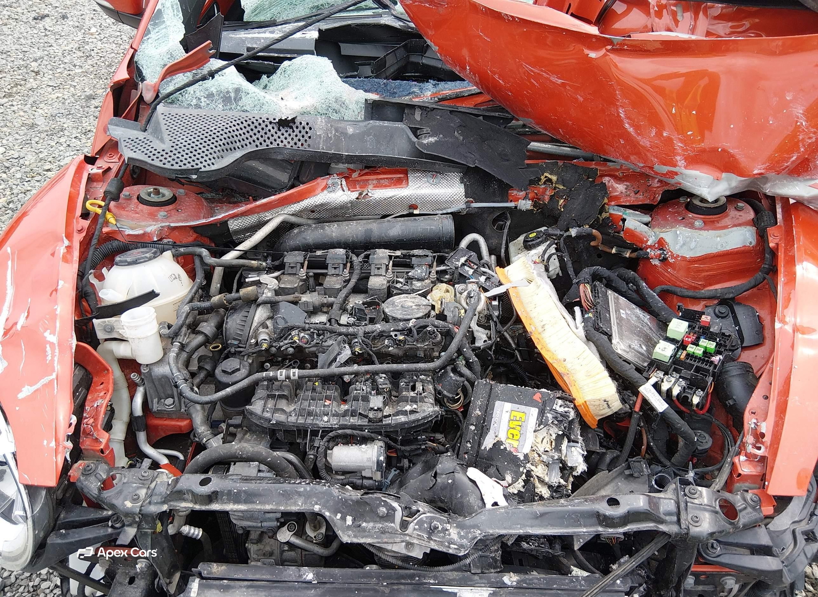 Volkswagen Beetle 2019