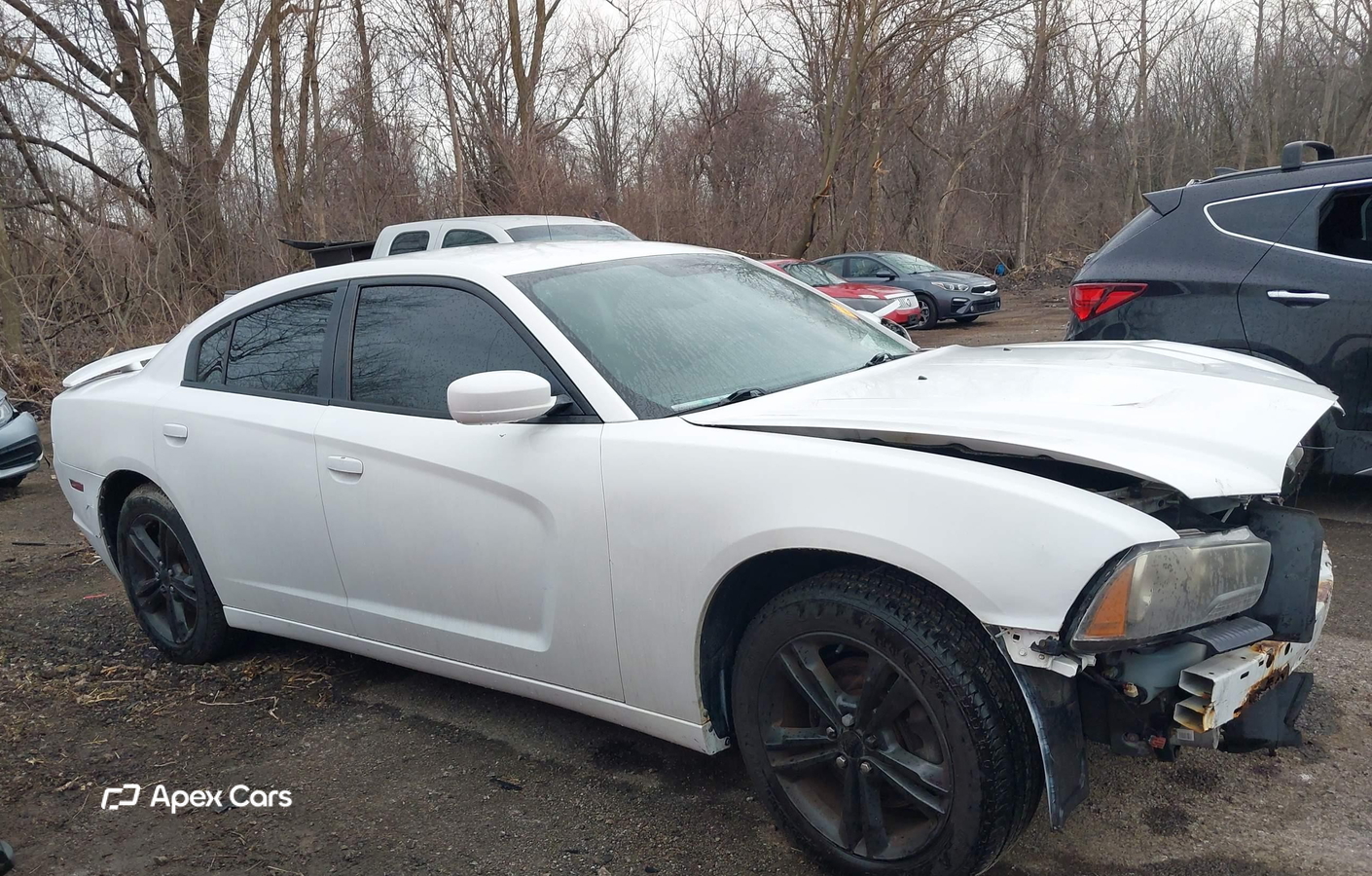 Dodge Charger 2013