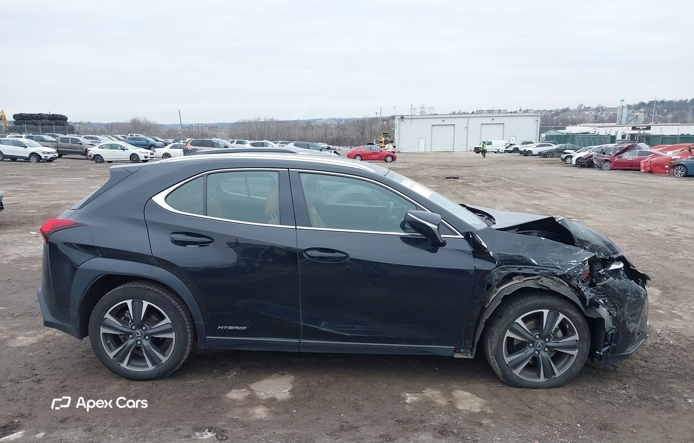 Lexus UX 2019