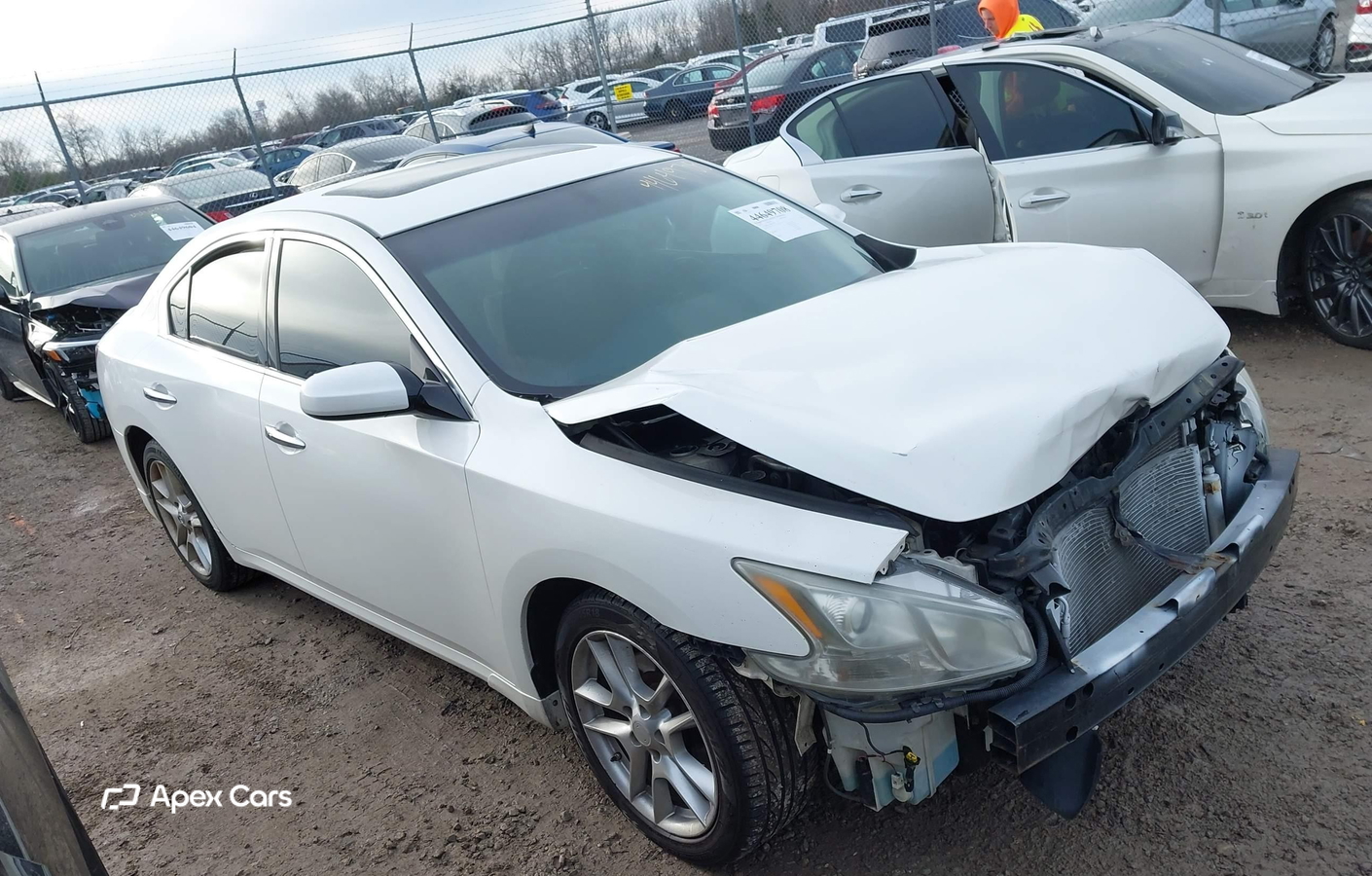Nissan Maxima 2011