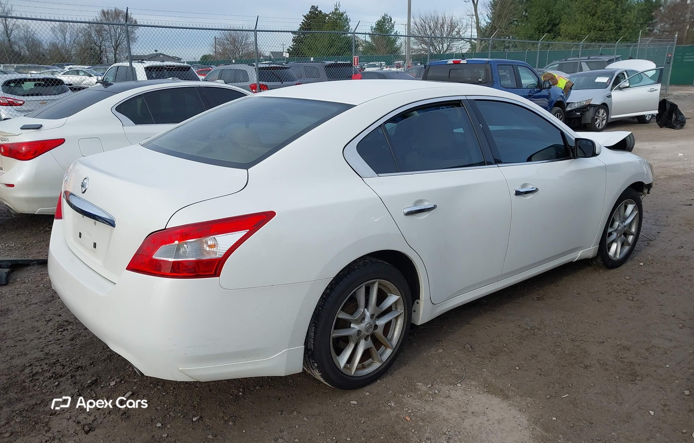 Nissan Maxima 2011