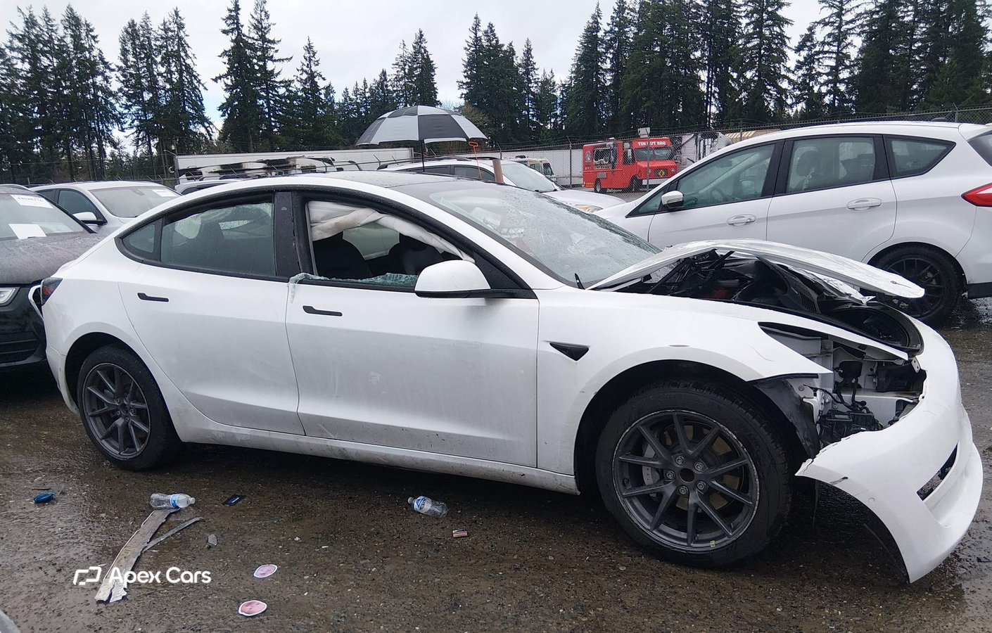 Tesla Model 3 2021