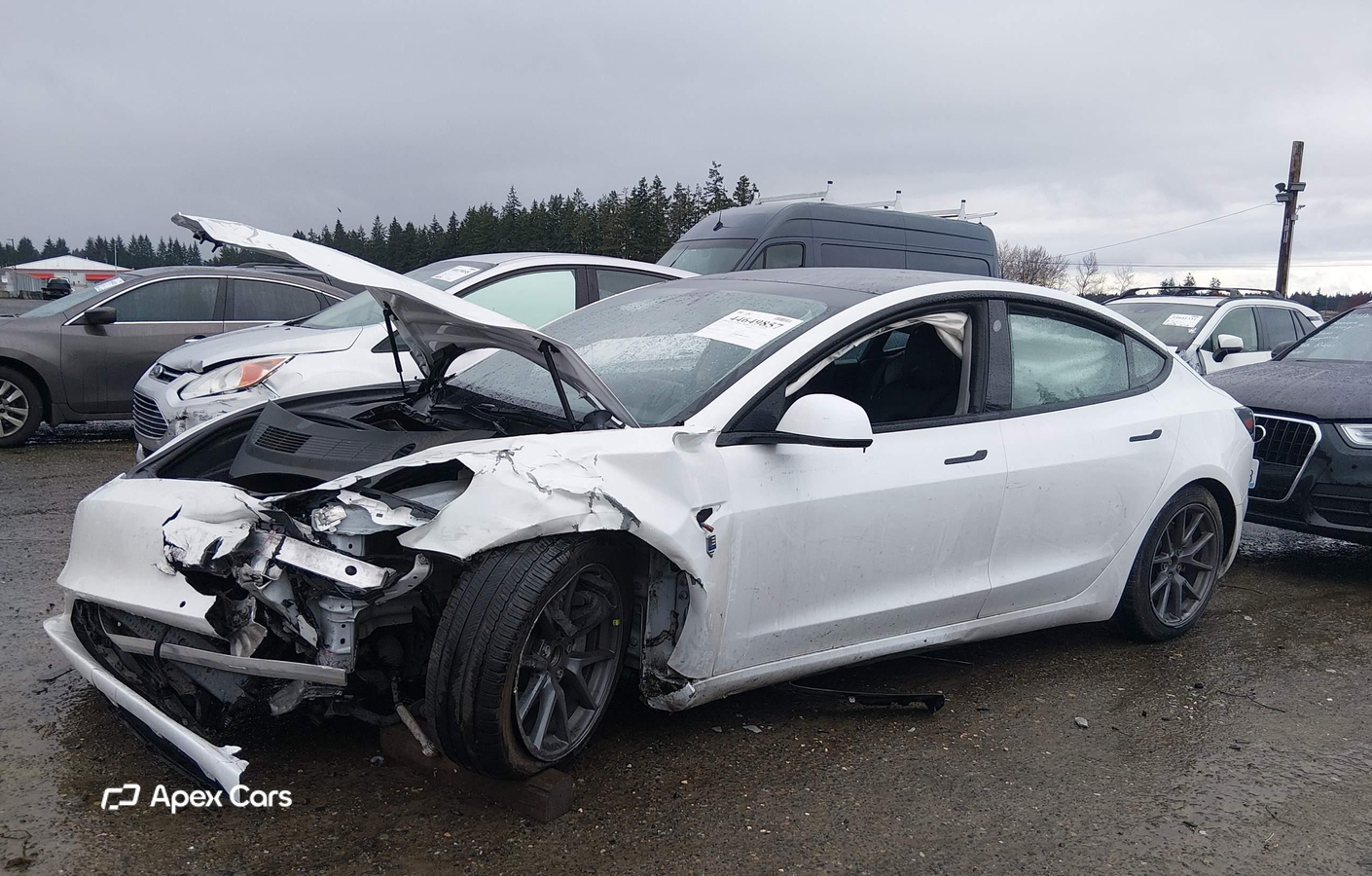Tesla Model 3 2021