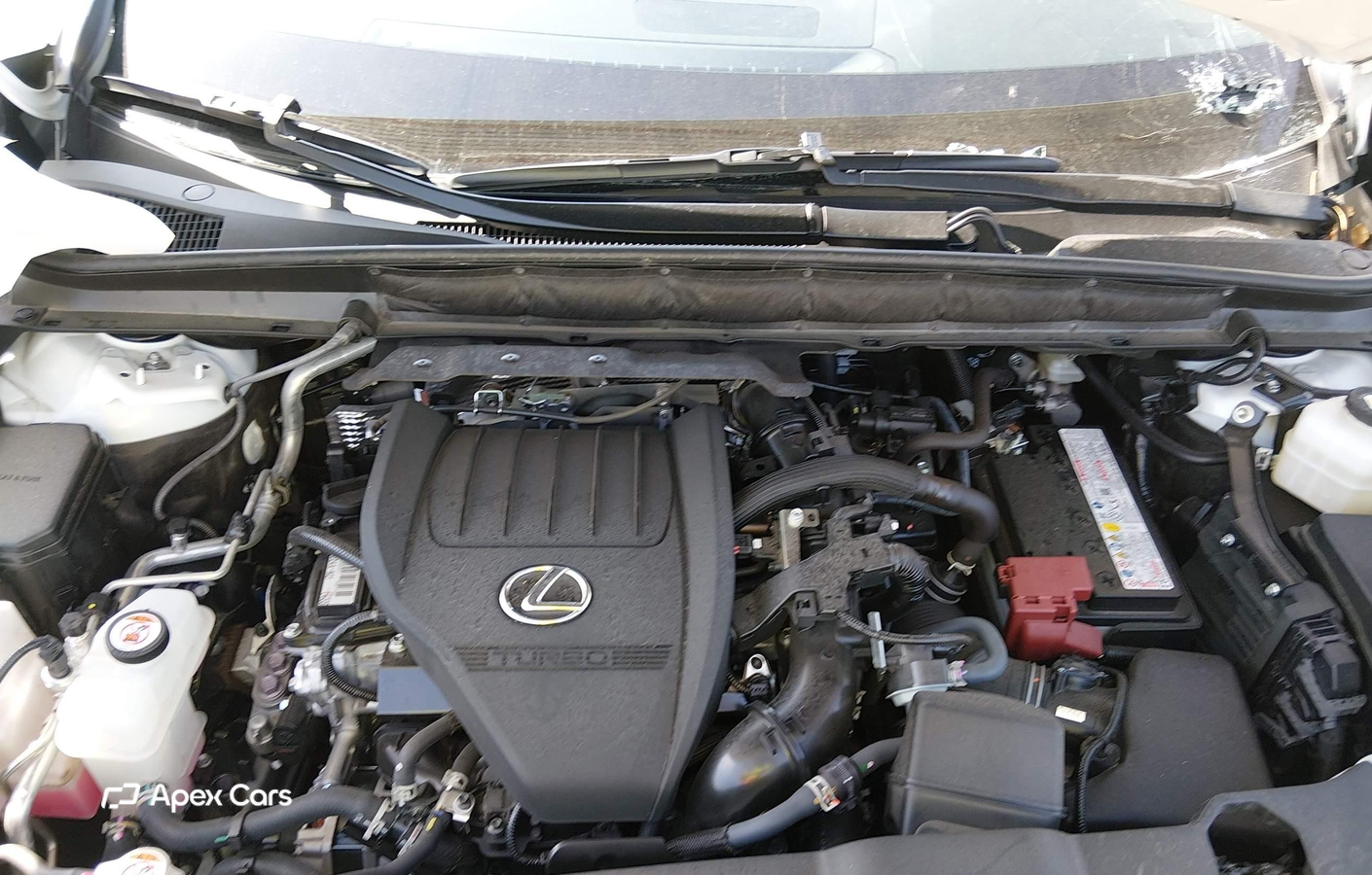 Lexus RX 2024
