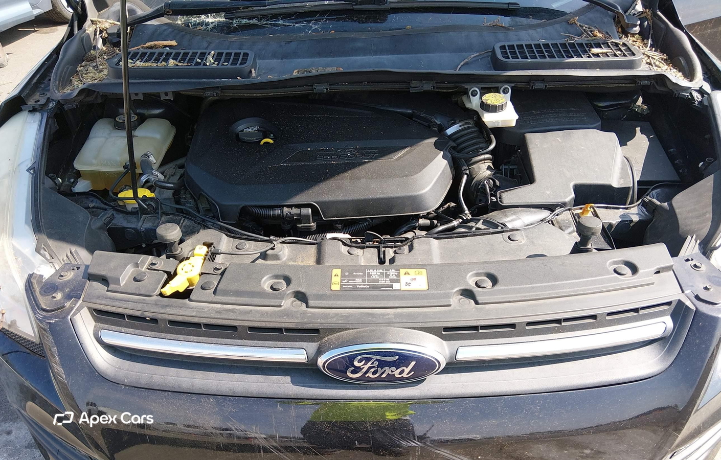 Ford Escape 2014