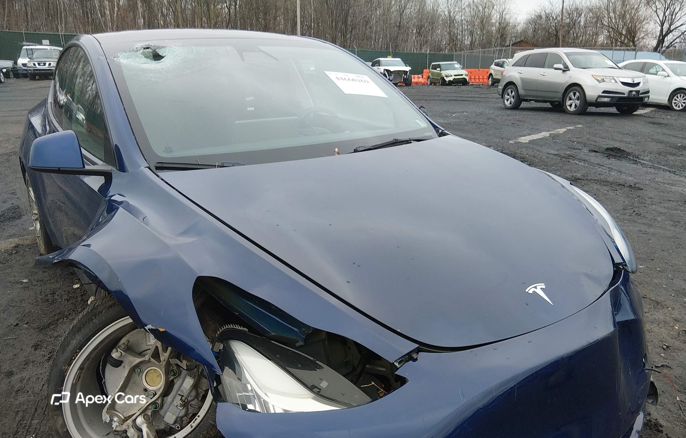 Tesla Model Y 2021