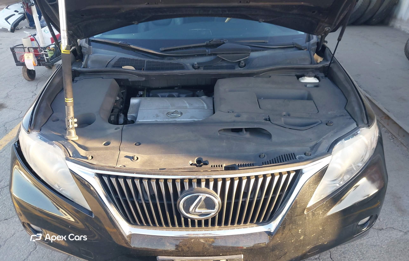 Lexus RX 2010