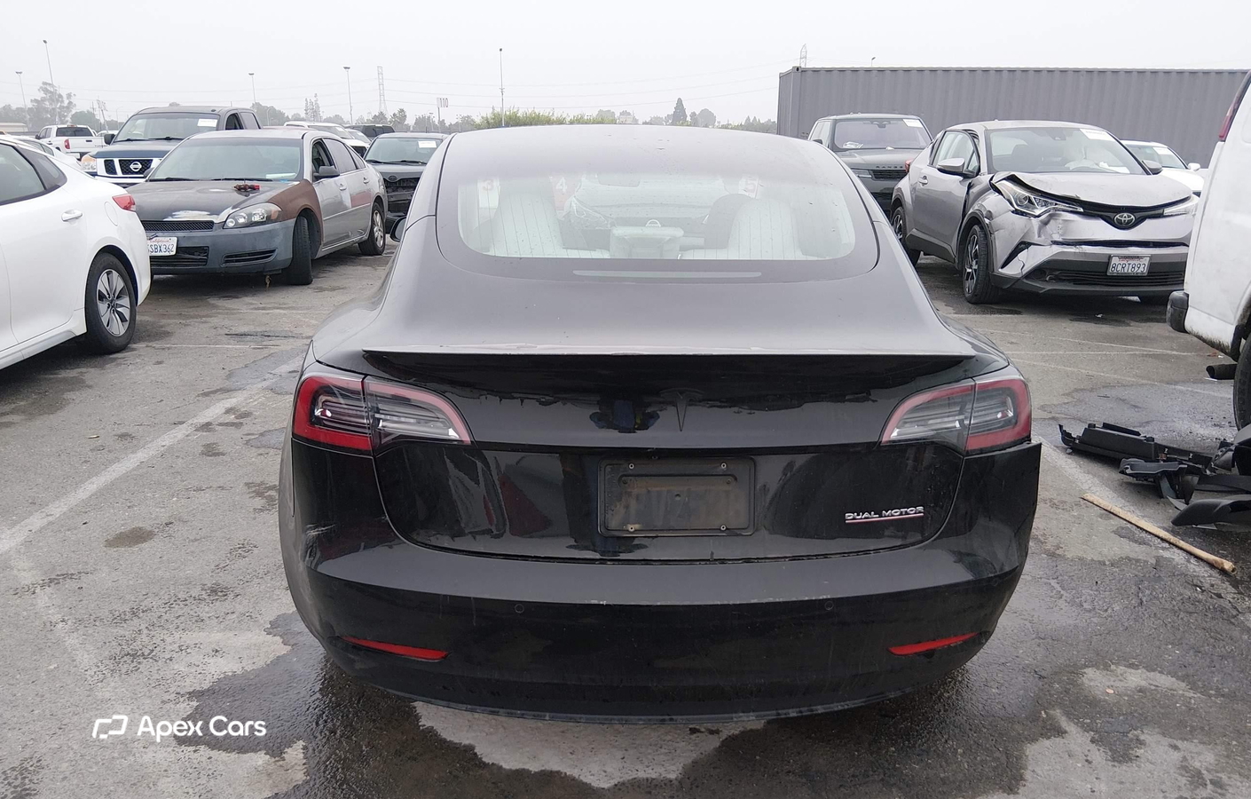 Tesla Model 3 2019