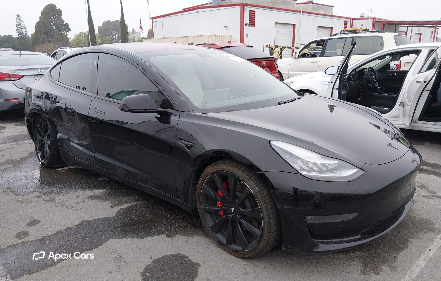 Tesla Model 3 2019