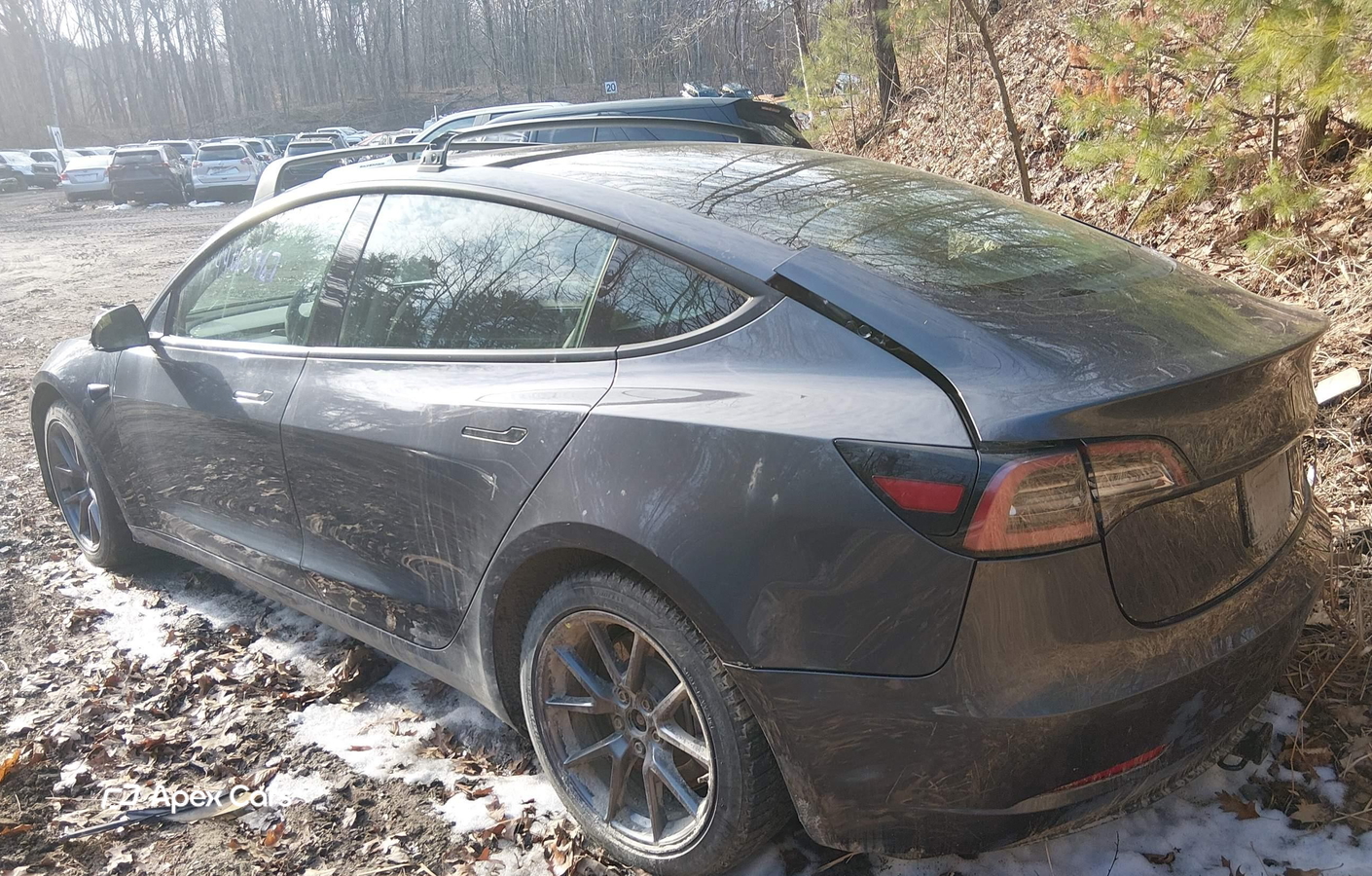 Tesla Model 3 2022