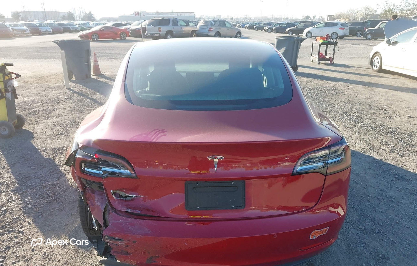 Tesla Model 3 2019