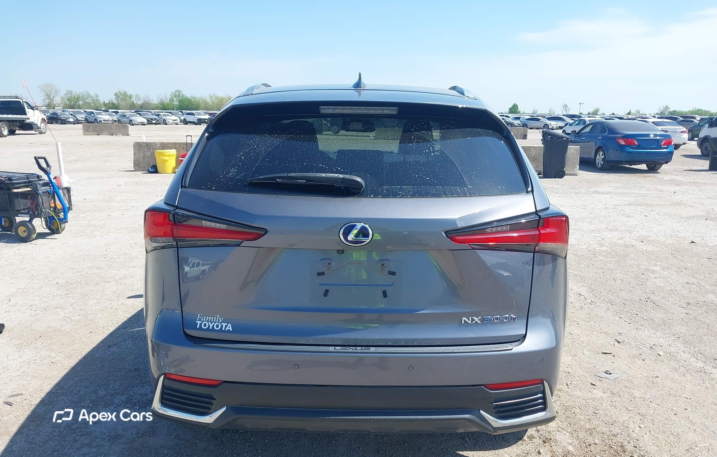 Lexus NX 2019
