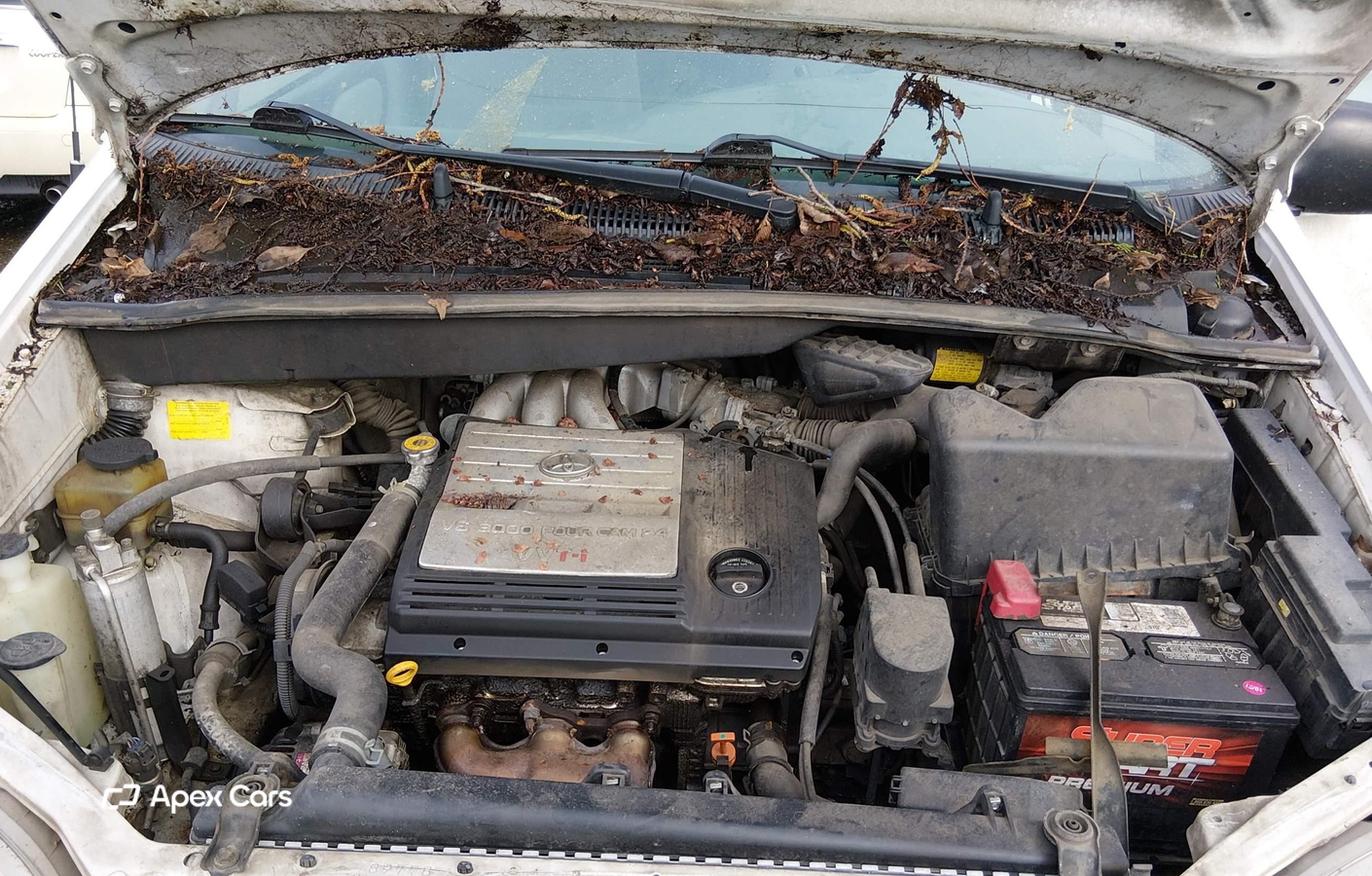Toyota Sienna 2003