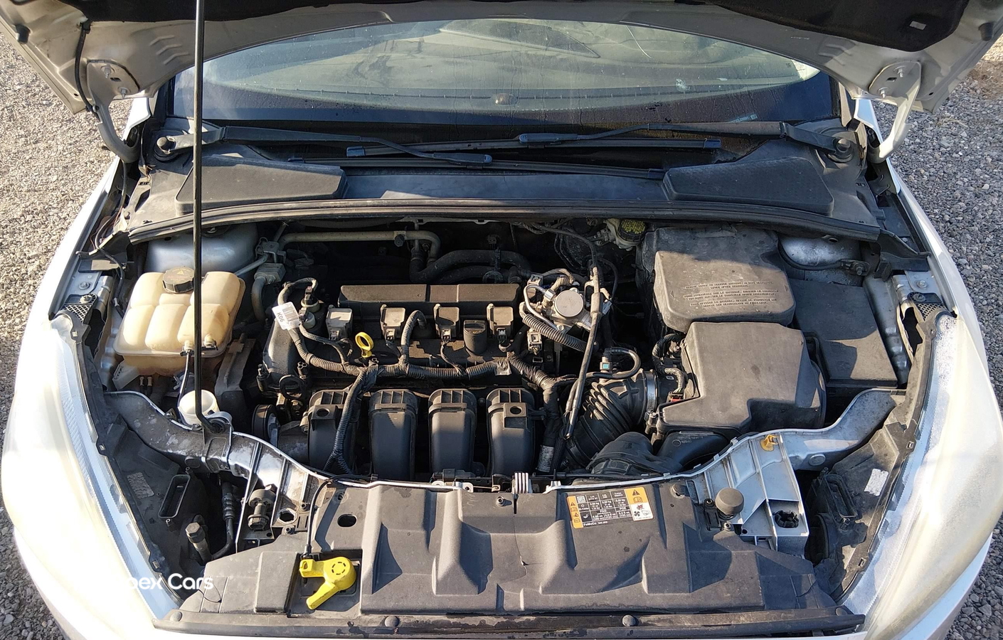 Ford Focus 2016