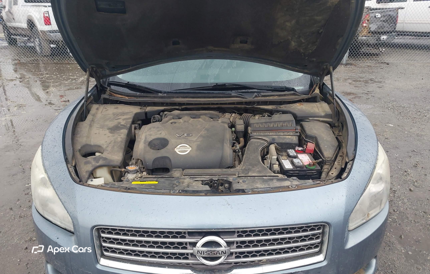 Nissan Maxima 2011