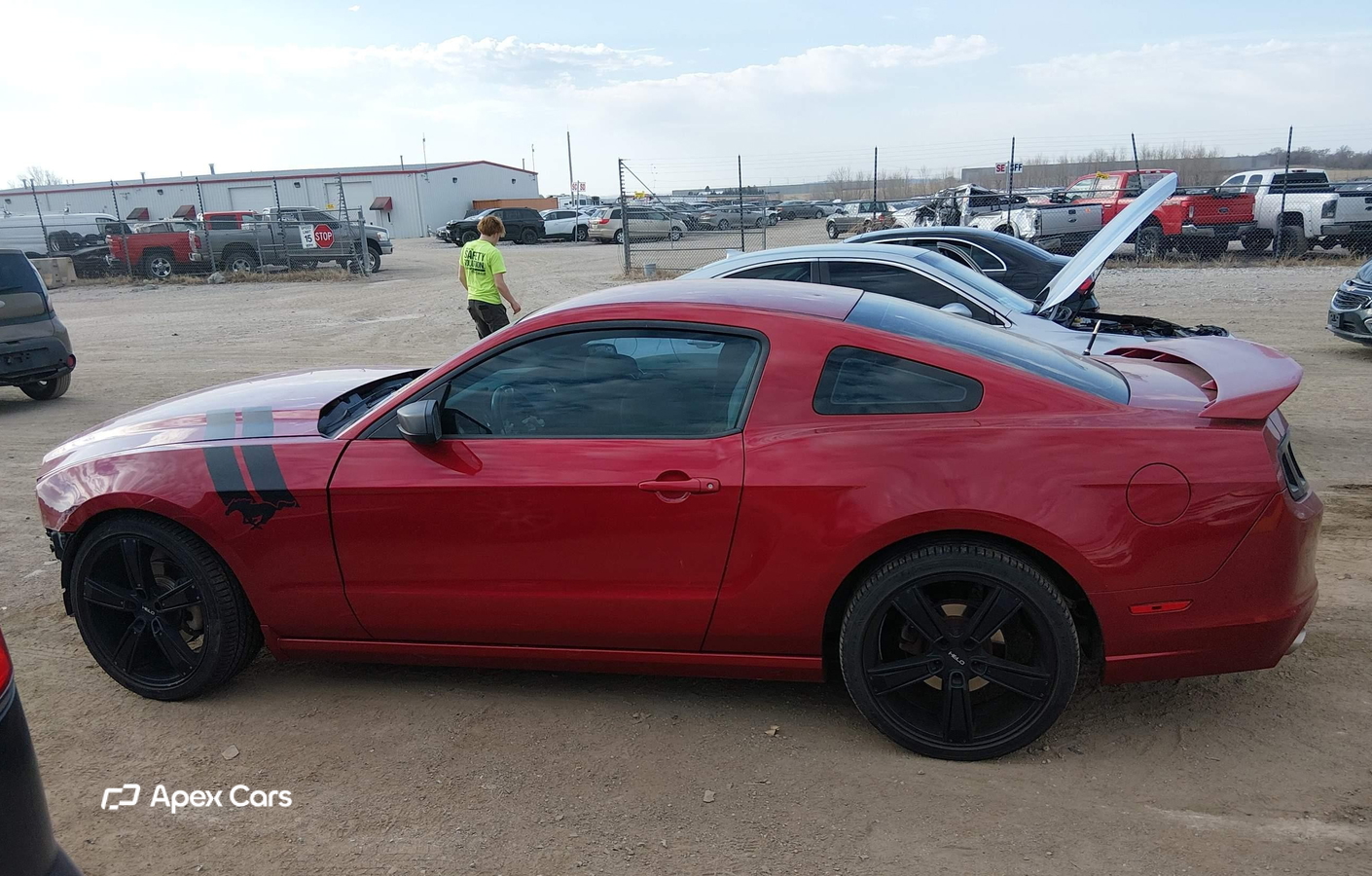Ford Mustang 2013