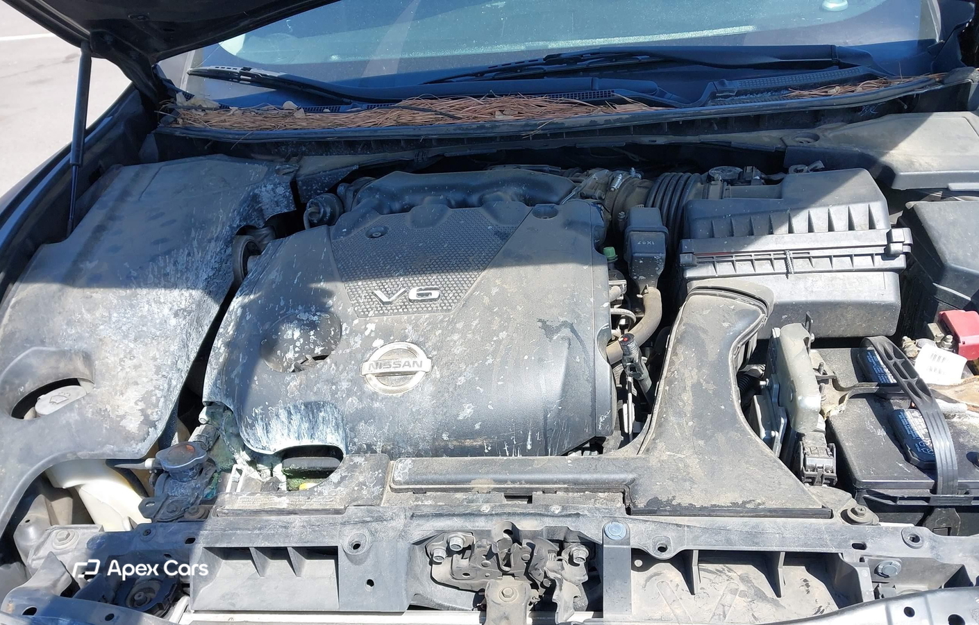 Nissan Maxima 2012