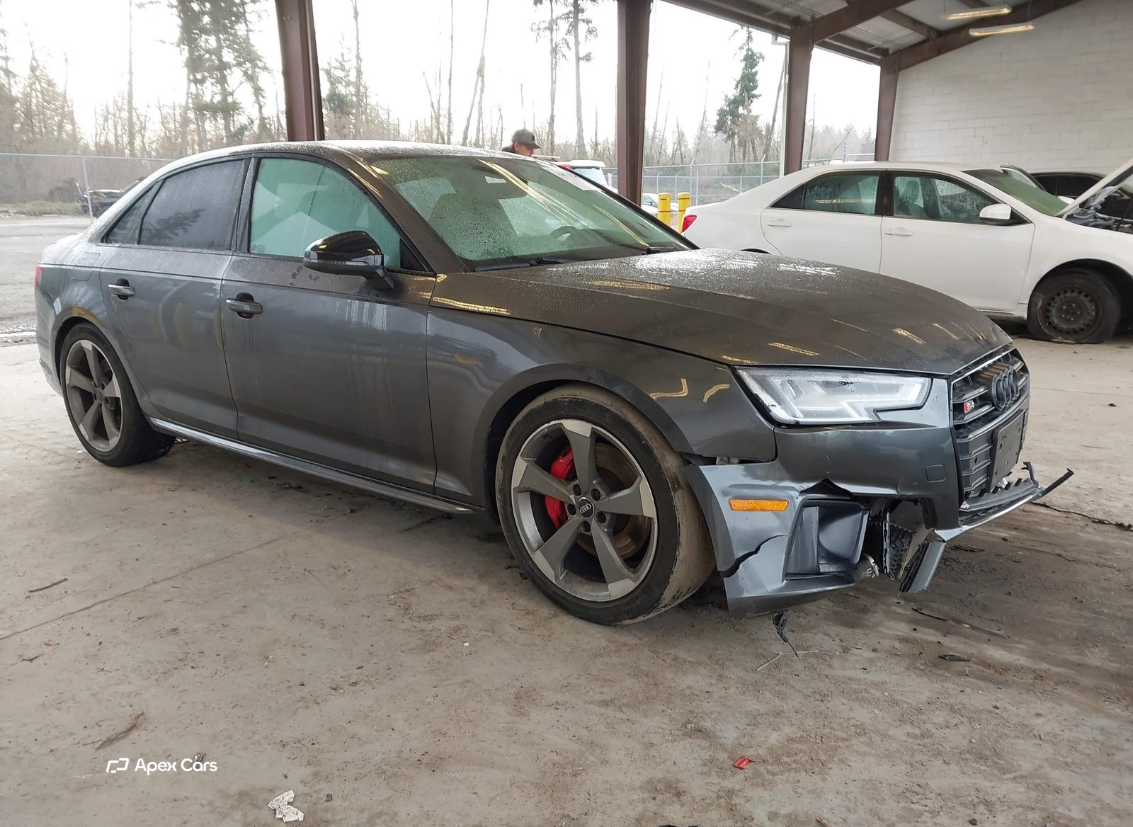 Audi S4 2019