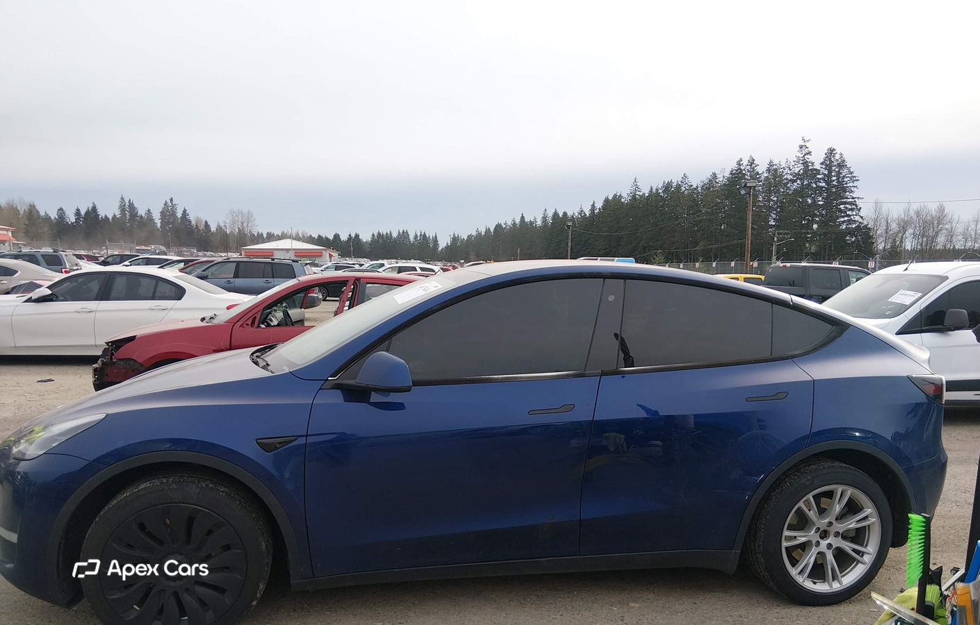 Tesla Model Y 2020