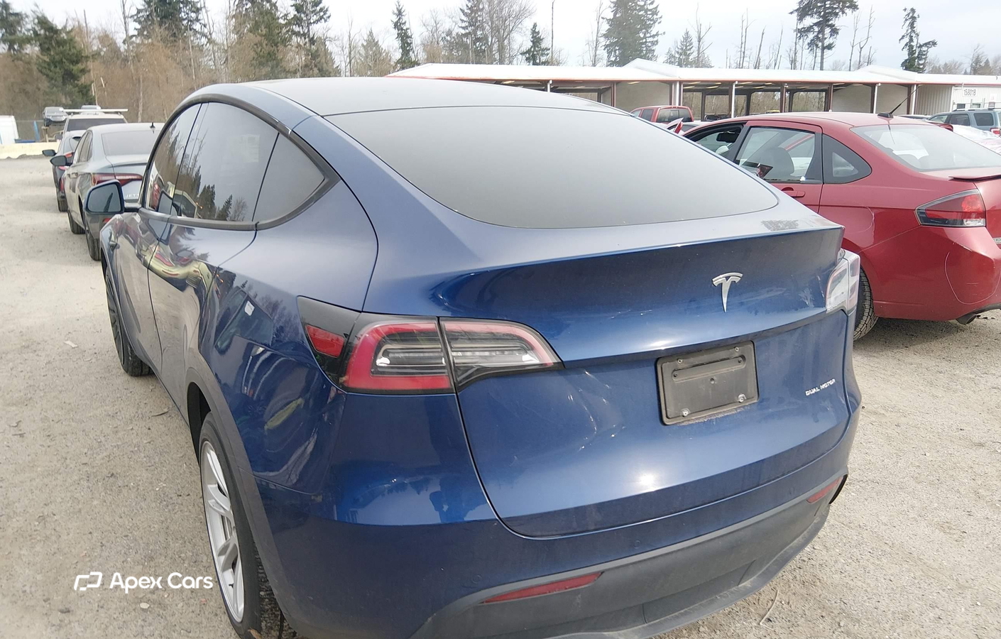 Tesla Model Y 2020