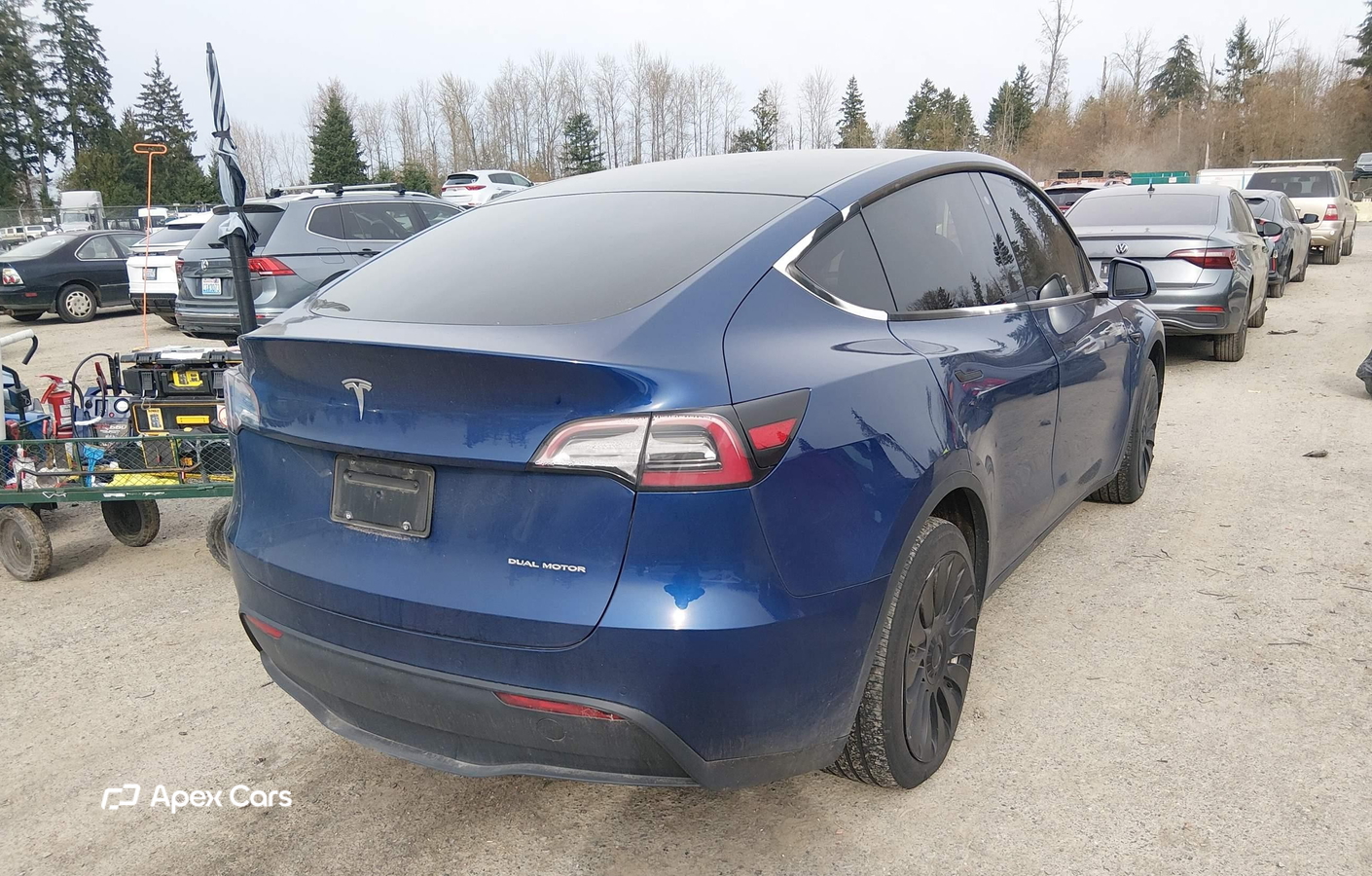 Tesla Model Y 2020