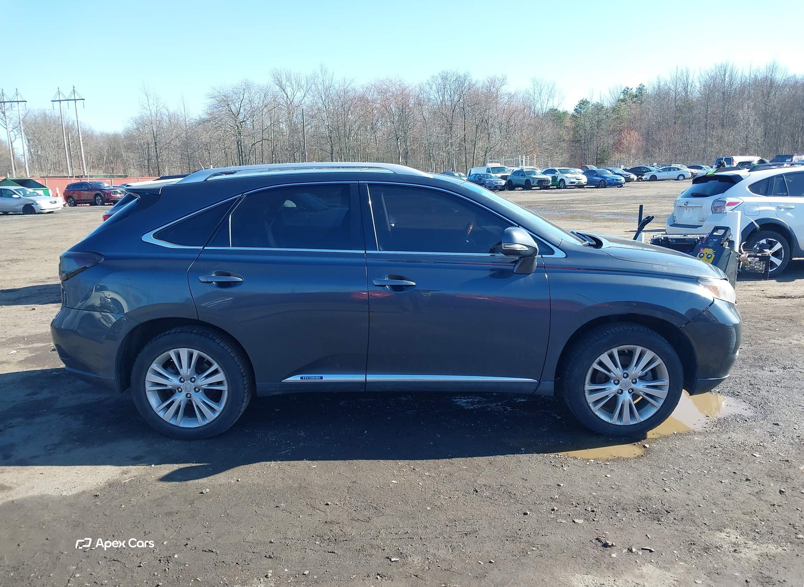 Lexus RX 2010