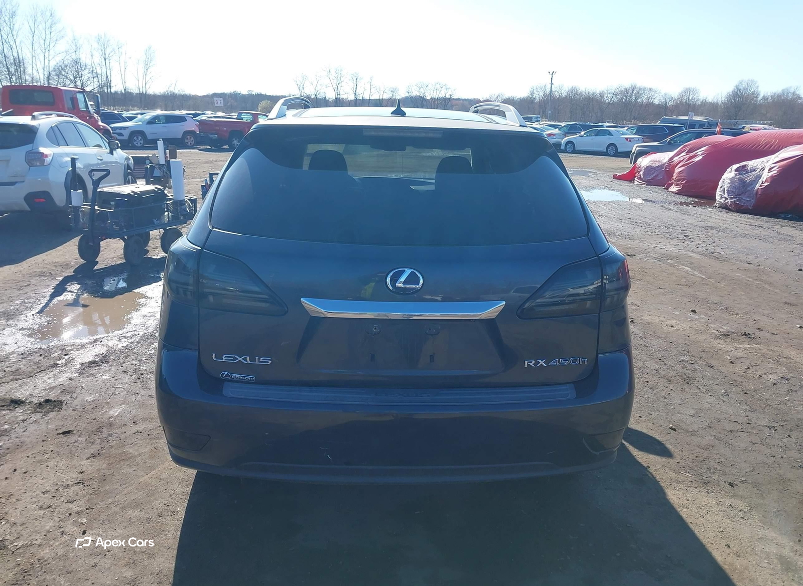 Lexus RX 2010