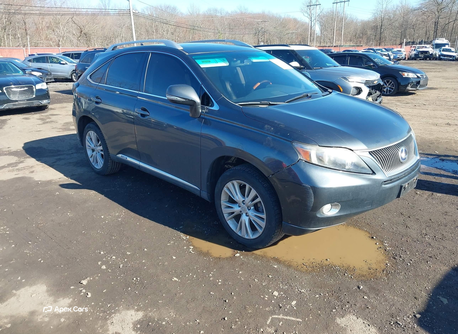Lexus RX 2010
