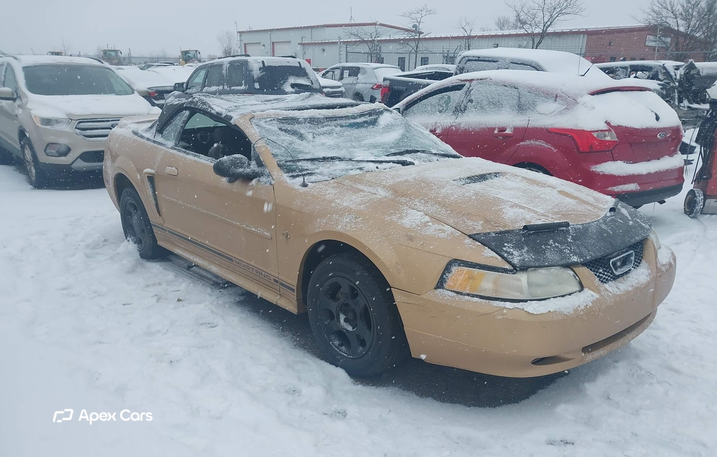 Ford Mustang 2000
