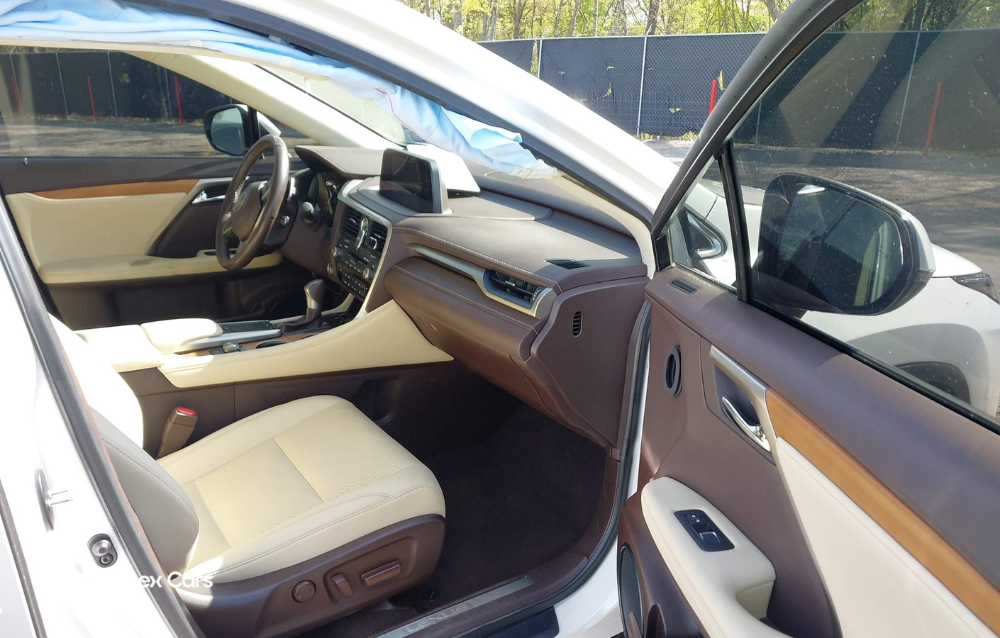 Lexus RX 2020