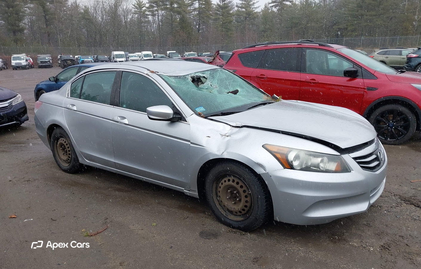 Honda Accord 2011