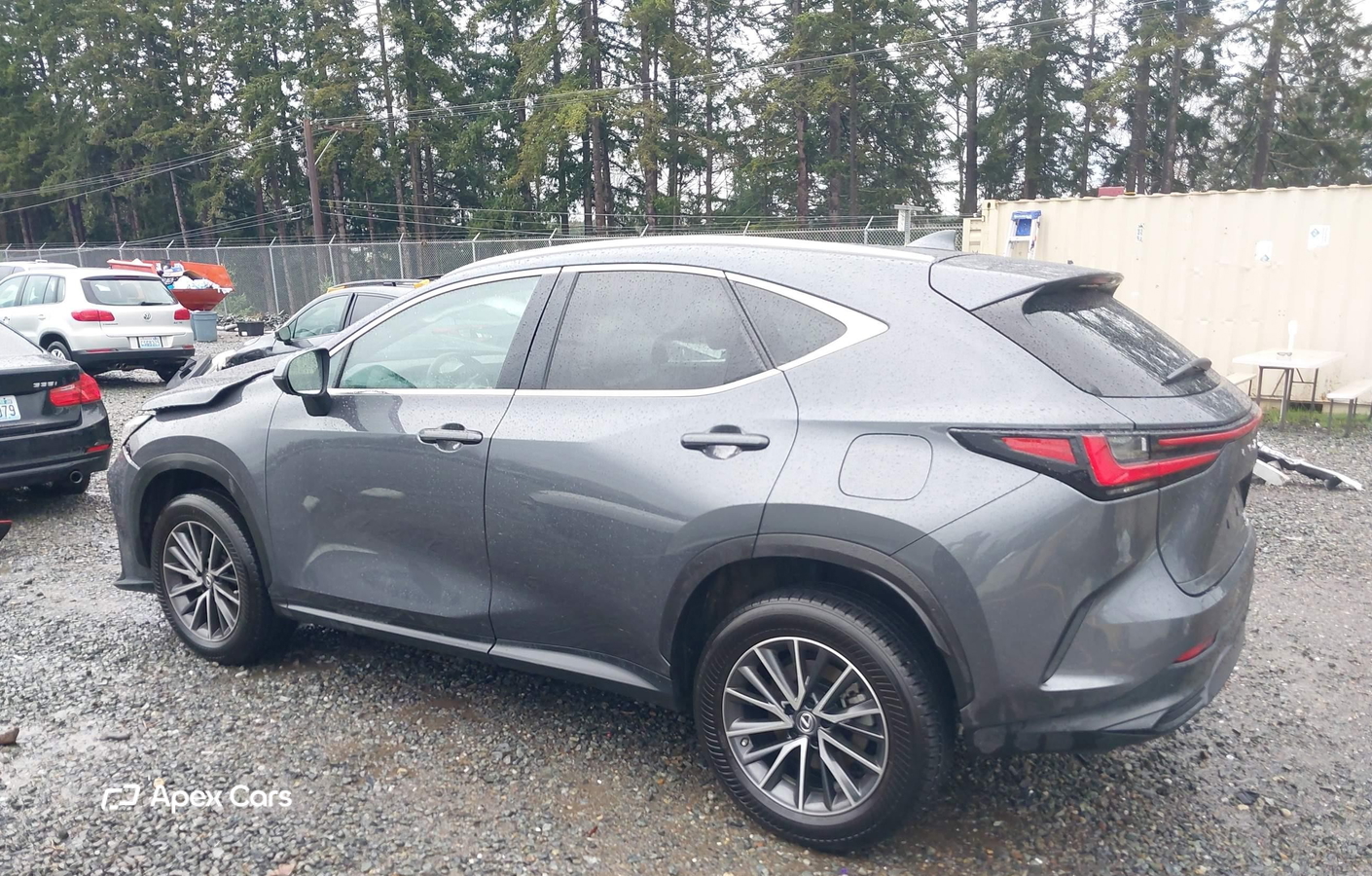 Lexus NX 2023