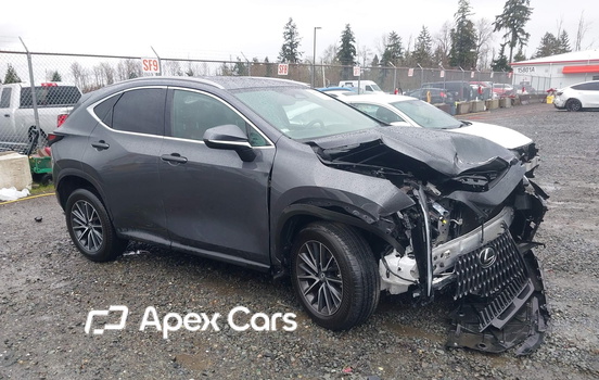 Lexus NX 2023 - Image 1 of 19