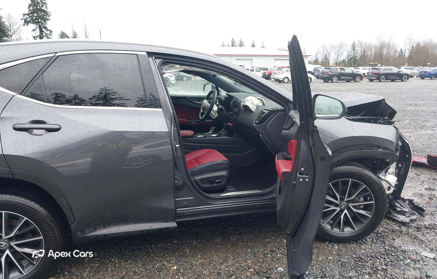 Lexus NX 2023