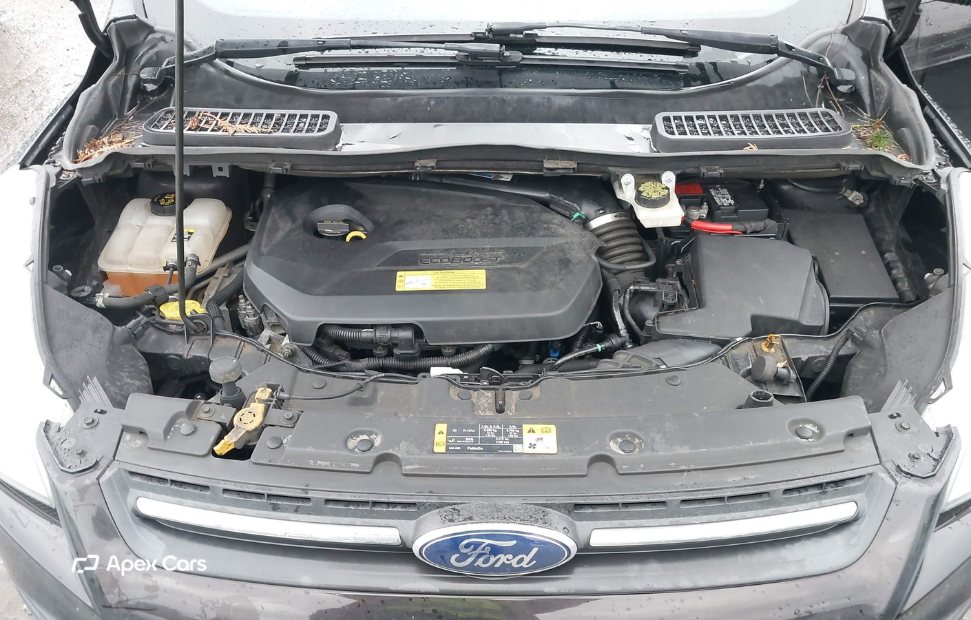 Ford Escape 2013