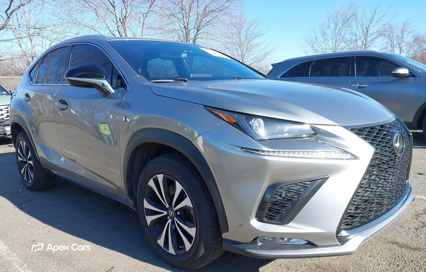 Lexus NX 2020