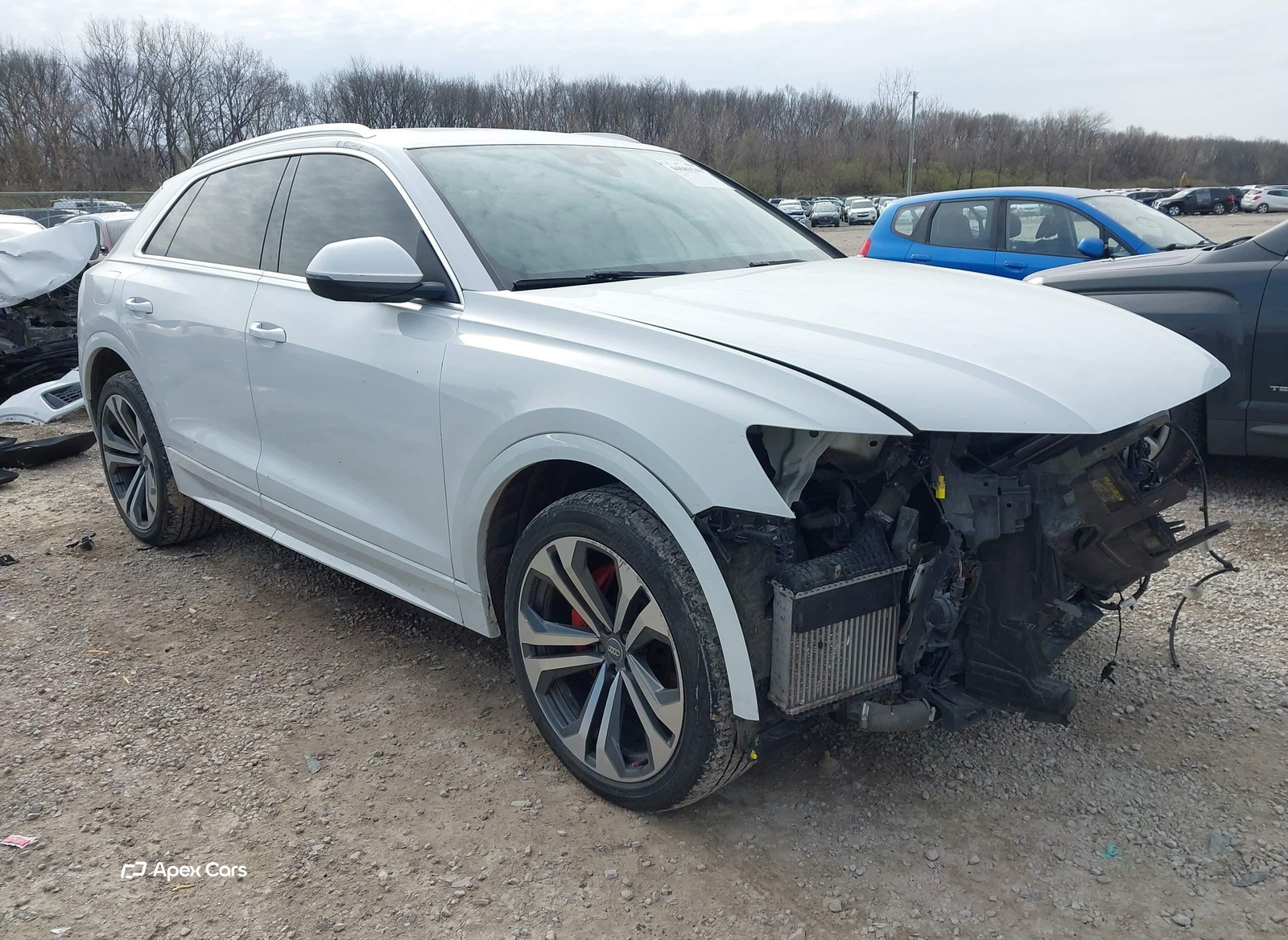 Audi Q8 2019