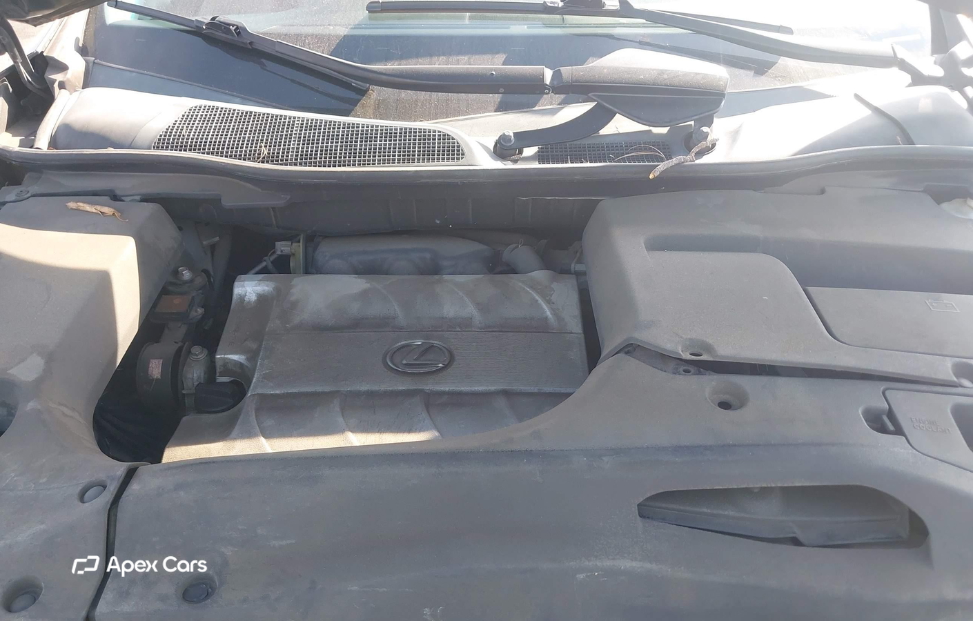 Lexus RX 2010