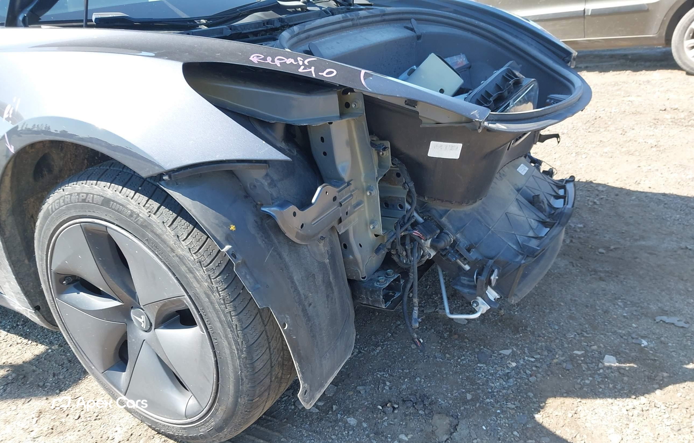 Tesla Model 3 2019