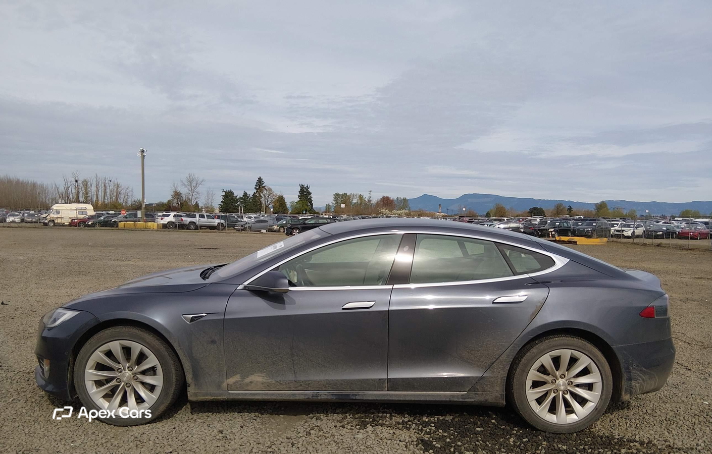 Tesla Model S 2019