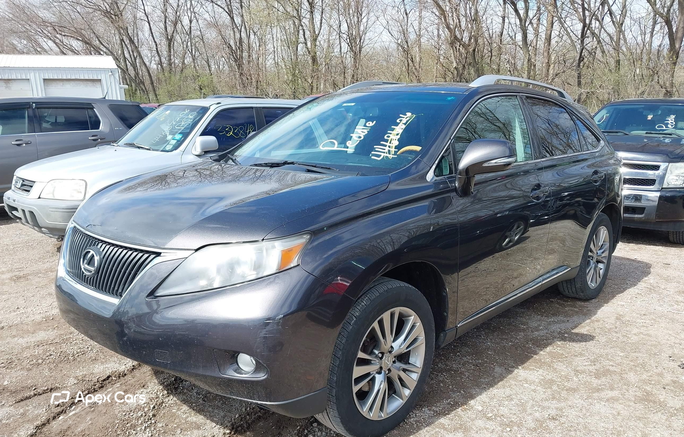 Lexus RX 2010