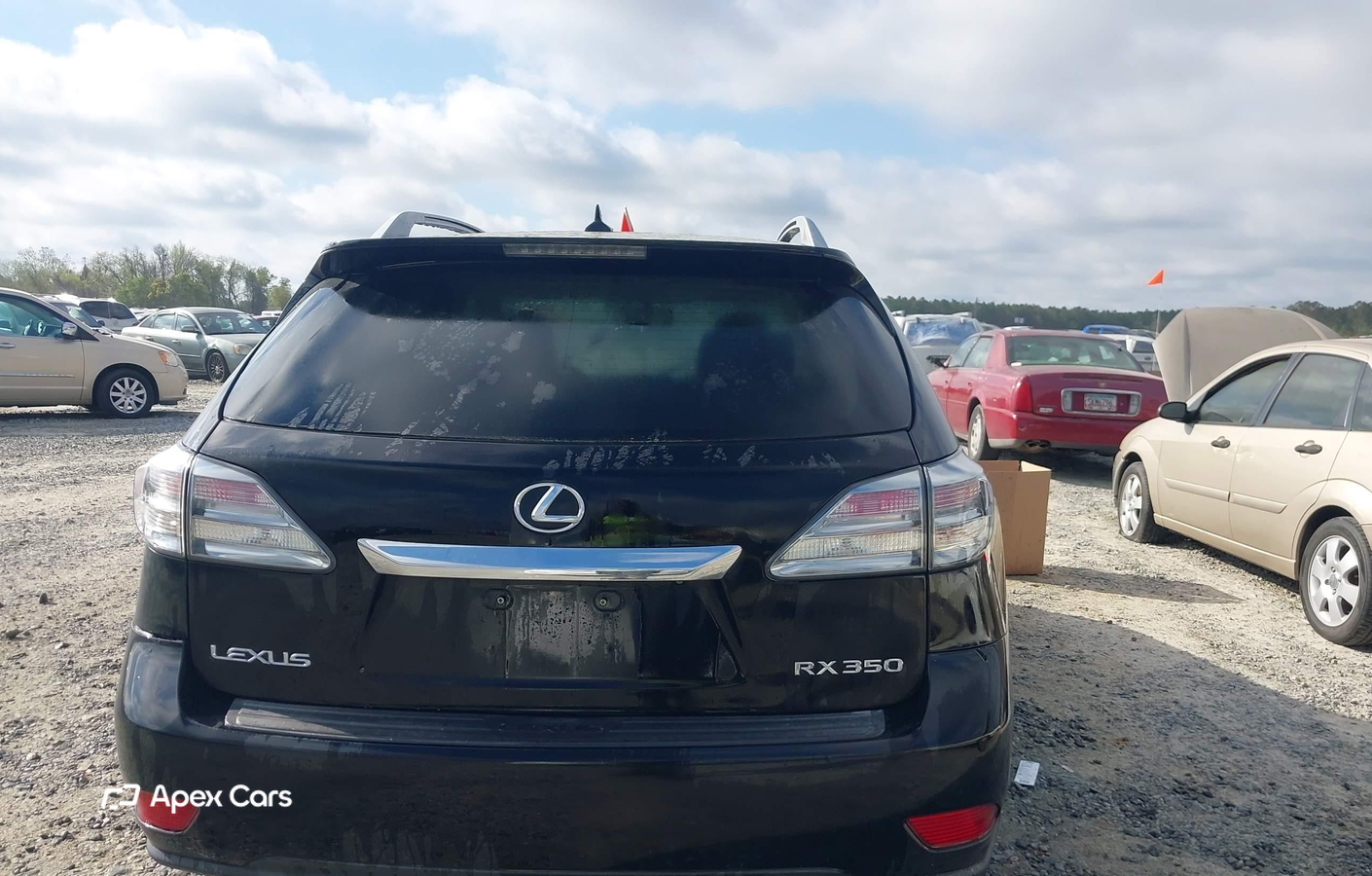 Lexus RX 2010