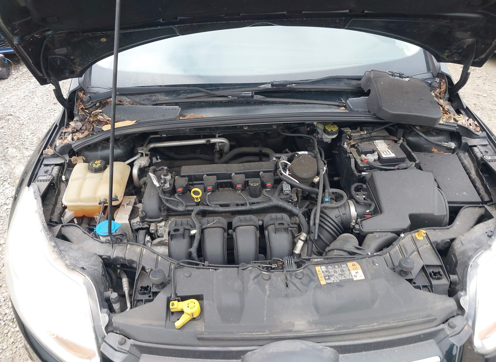 Ford Focus 2014