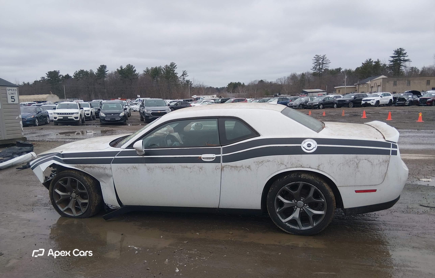 Dodge Challenger 2015