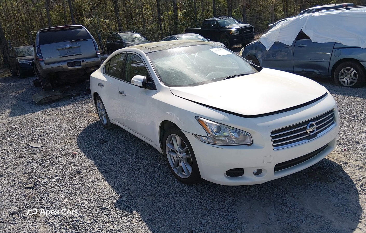 Nissan Maxima 2011