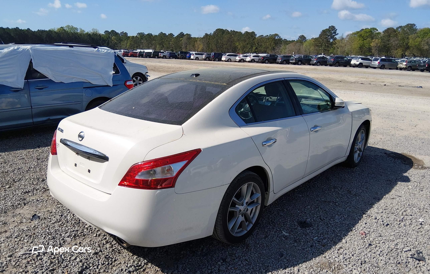 Nissan Maxima 2011